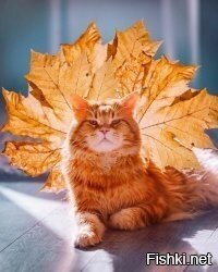 Что смотришь