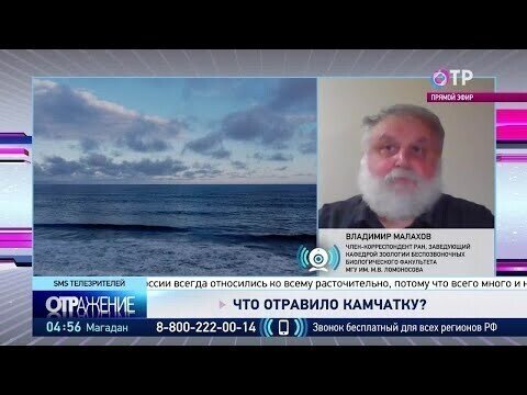 Что отравило Камчатку. Информация от учёного