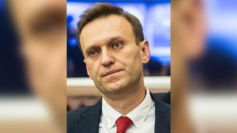 В Совфеде РФ рассказали, кто решает дальнейшую судьбу Навального