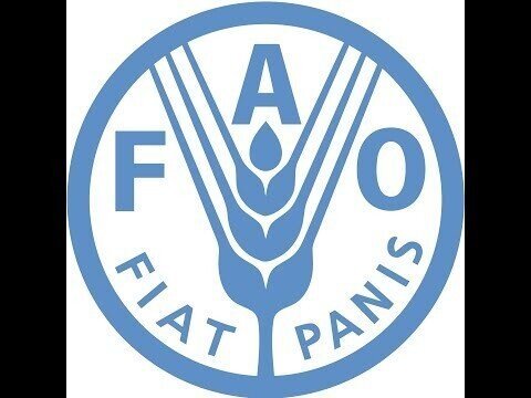 FAO: 75 лет в борьбе с голодом. Сельский час. Специальный выпуск