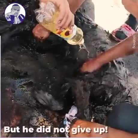 молодцы мужики, однозначно