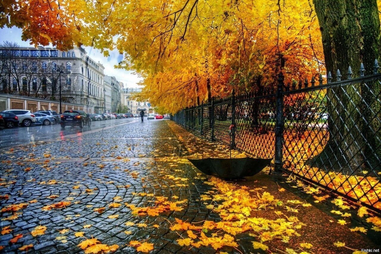 Осенний Питер