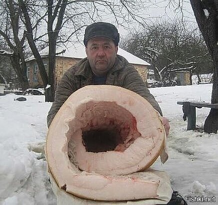 Солянка