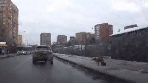 Человек