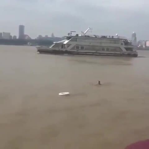 Хороший пёсик