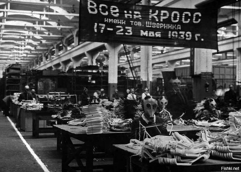 Стало интересно, а кто такой этот Шверник