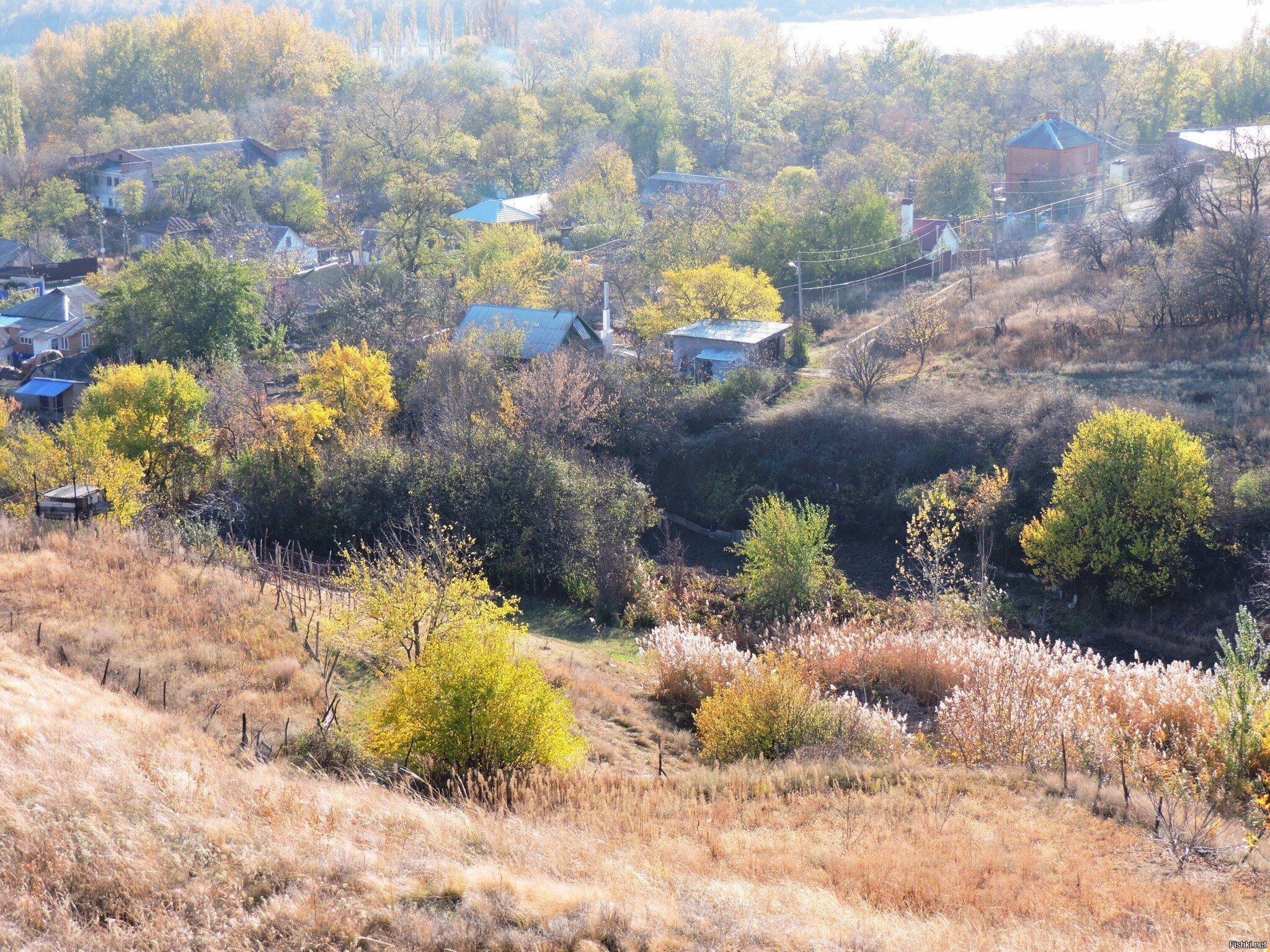 Осеннее разноцветье