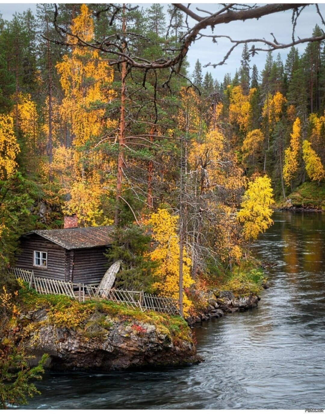 Солянка