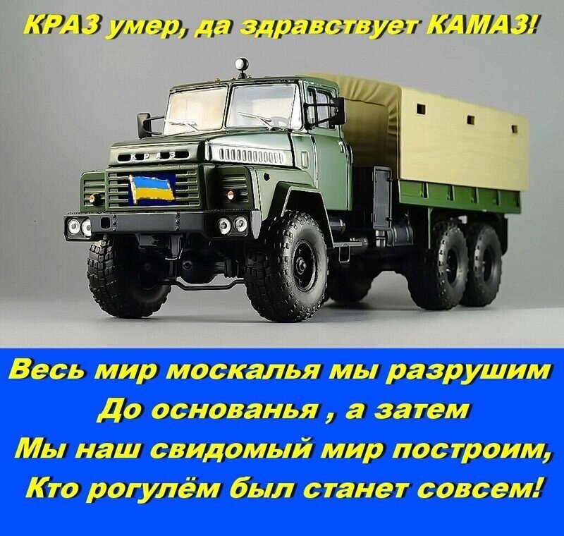 КРАЗосвидомия обыкновенная, в стадии рецидива