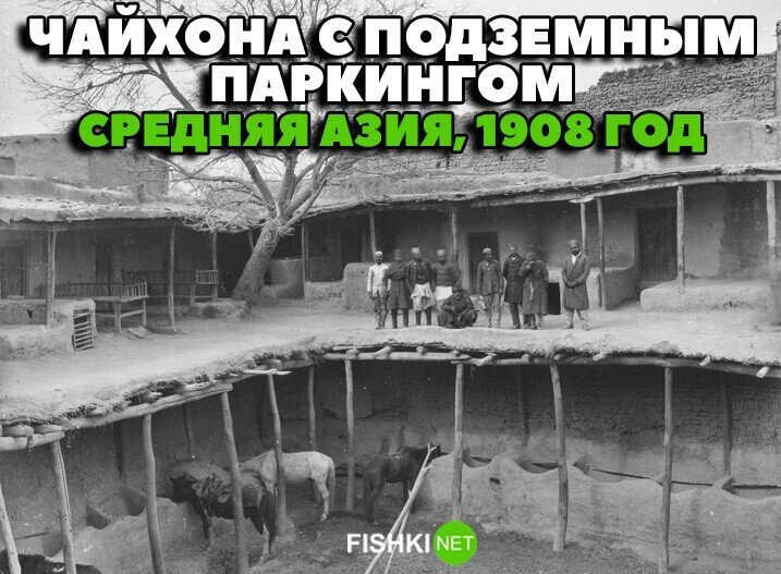 Прикольные и смешные картинки