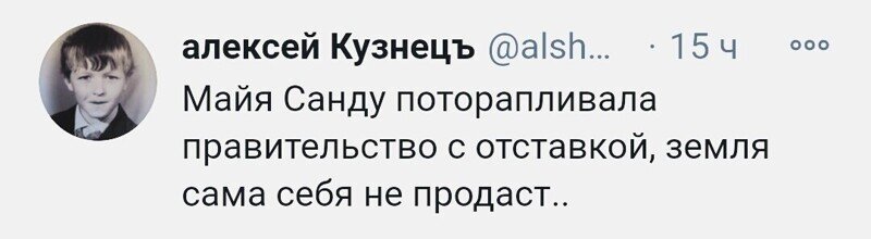 О политике и не только