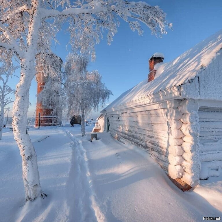 Солянка