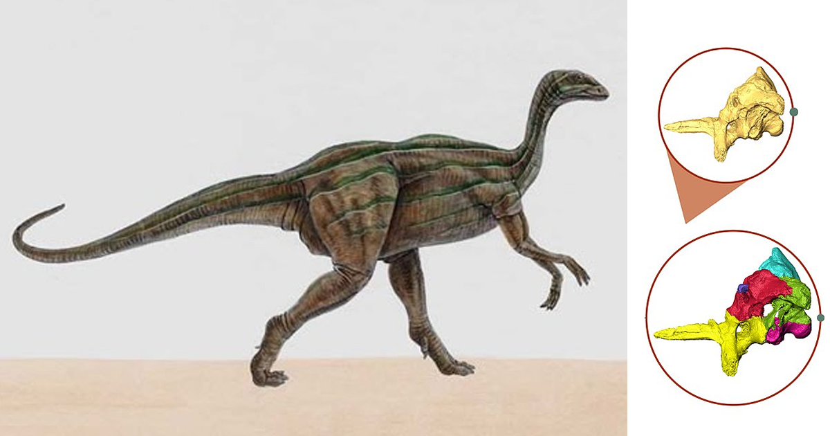 Ученые воссоздали мозг динозавра и сделали неожиданное открытие
