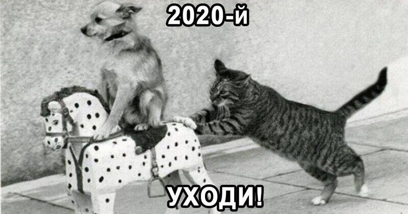 2020, уходи! Как пандемия изменила мир за год