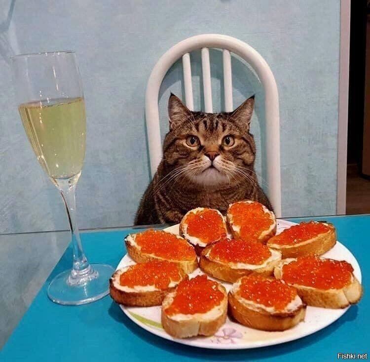 Доброго