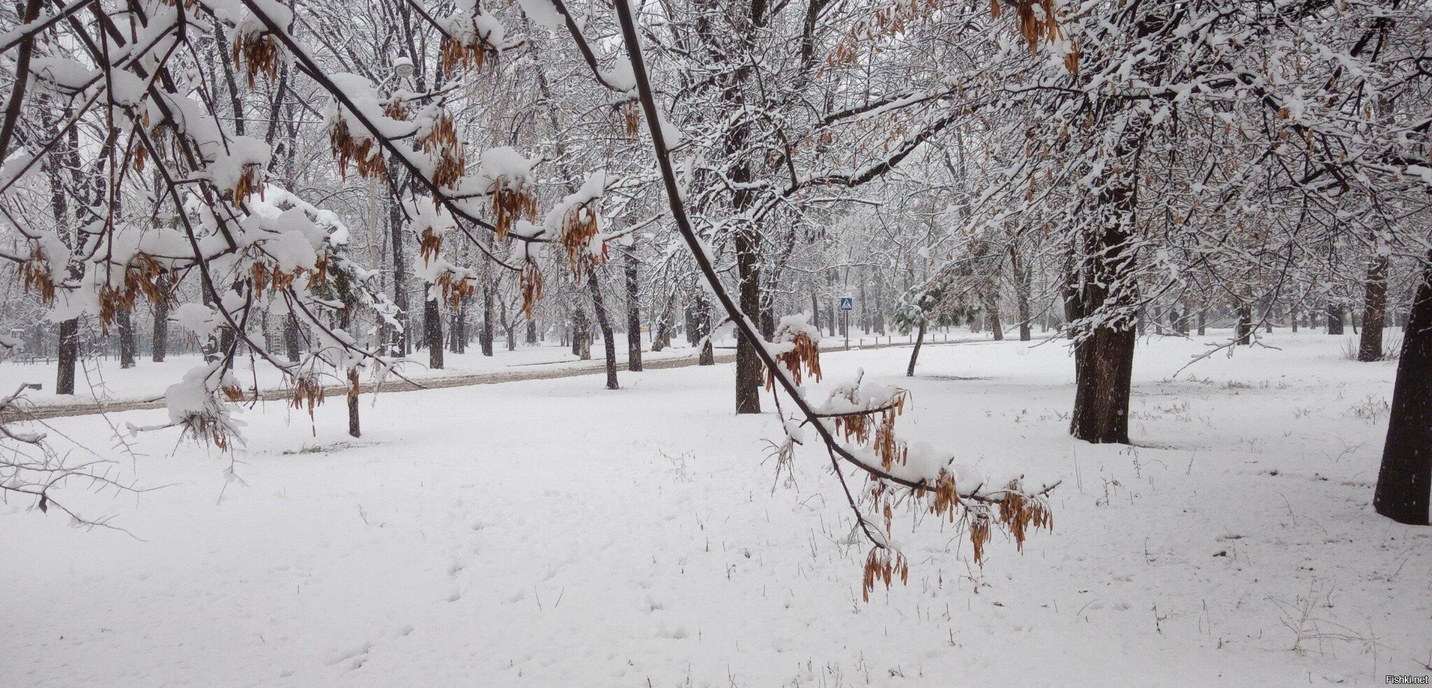 Засыпает нас))))