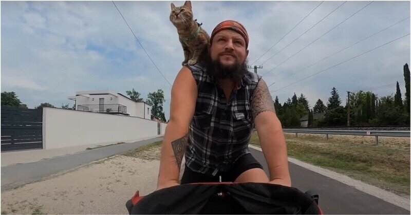 Мужчина наткнулся на брошенного котенка и теперь путешествует вместе с ним