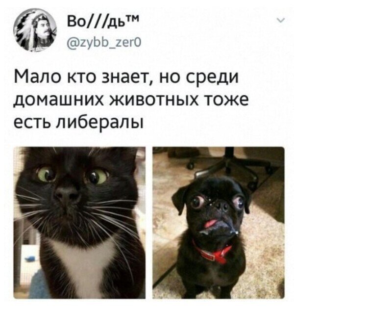 Систему распознавания лиц научили определять либералов по фотографии