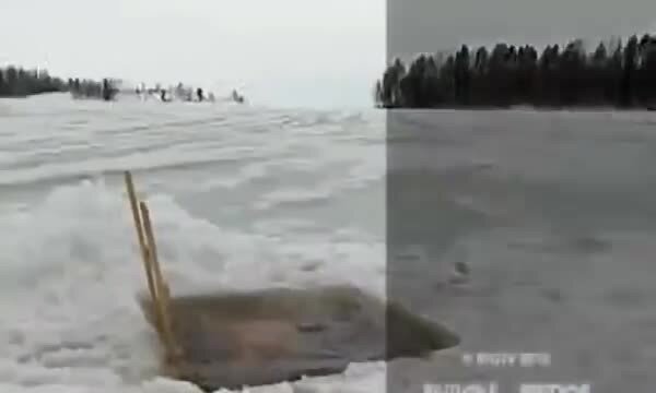 Завтра
