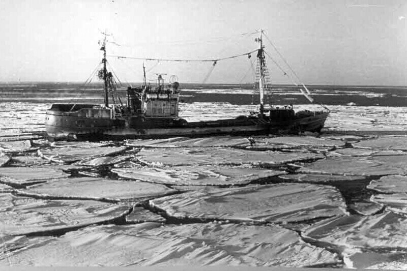 19 января 1965 года... Гибель траулеров «Бокситогорск», «Севск», «Себеж» и «Нахичевань»