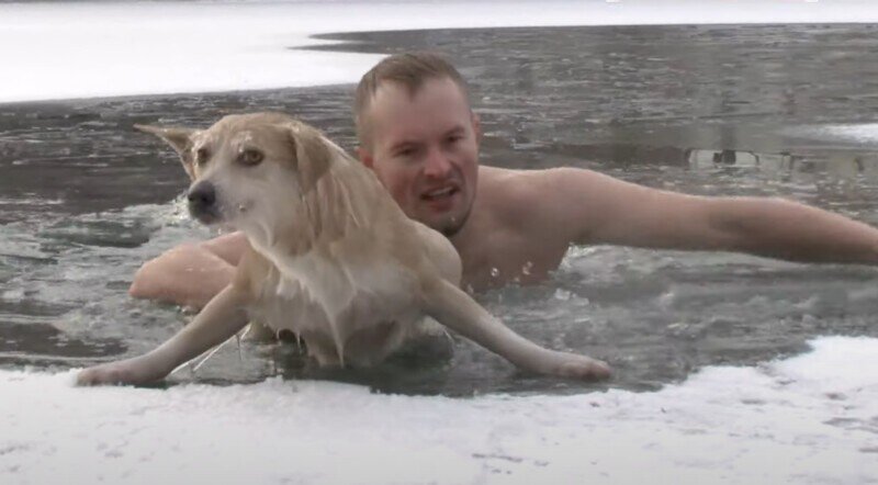 Журналист бросился в ледяную воду и спас собаку из проруби