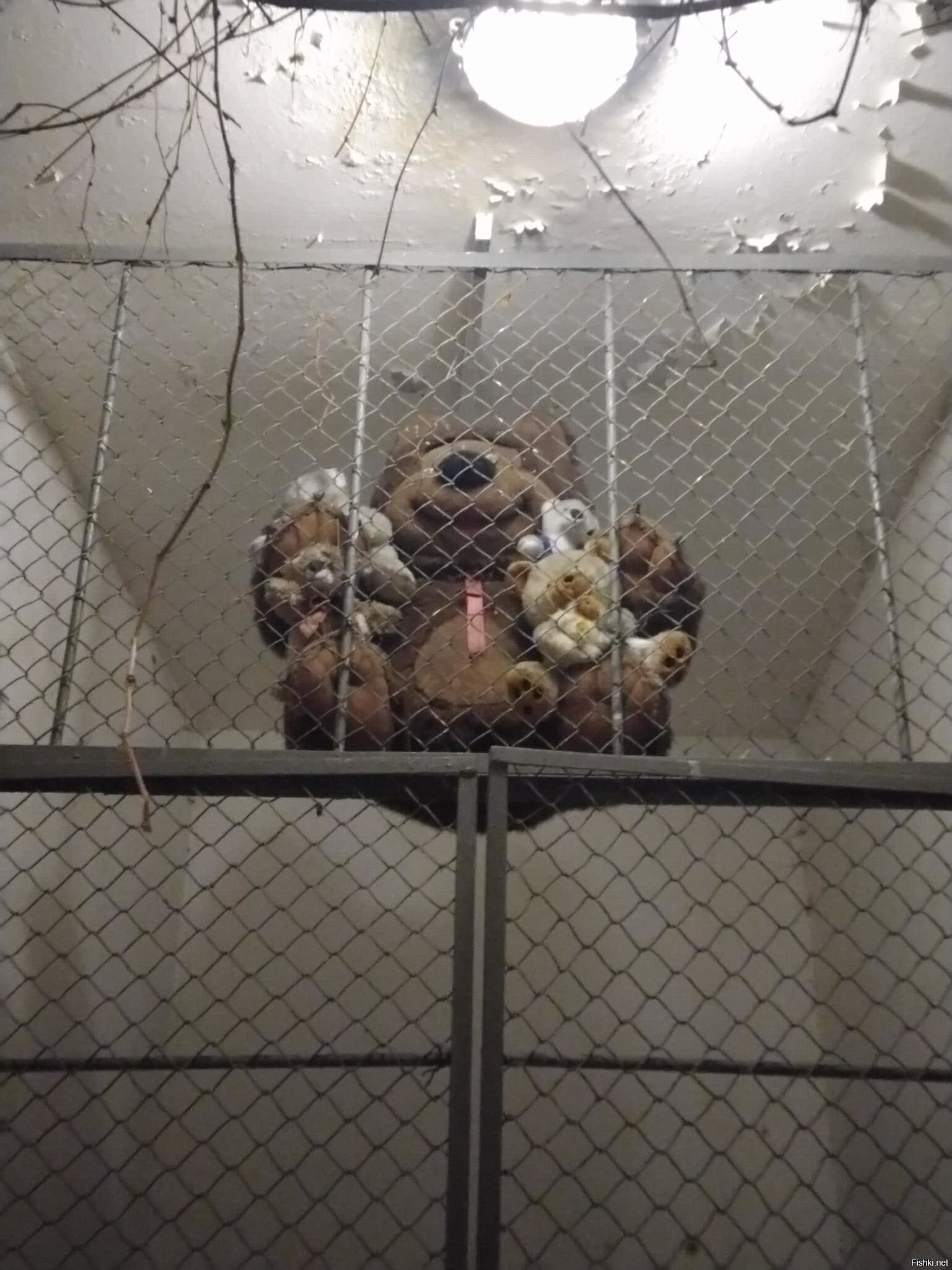 Солянка для добрейшего