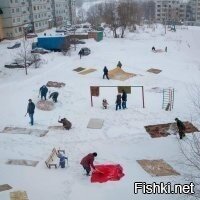 Алладины на зимовку прилетели