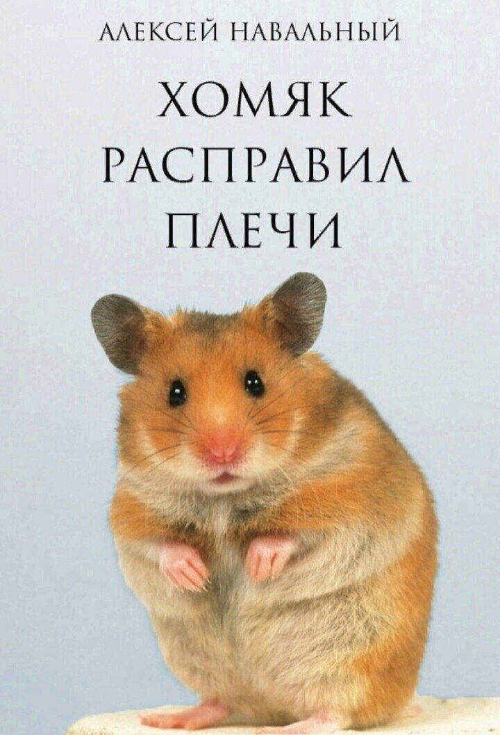 О политике и не только