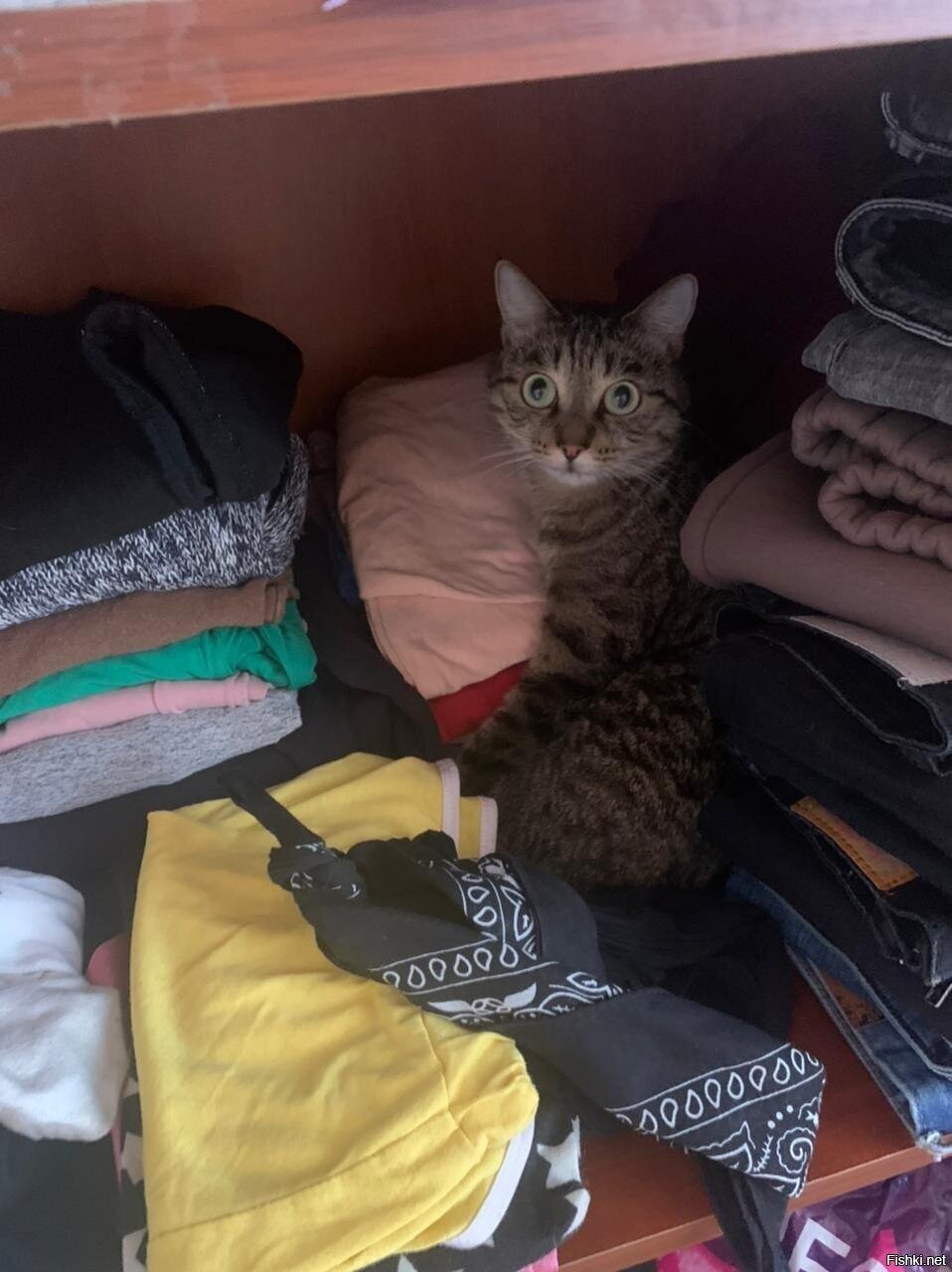 Весна скоро