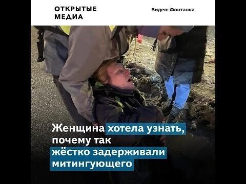 Власти заинтересовались детьми женщины, которую пнул полицейский