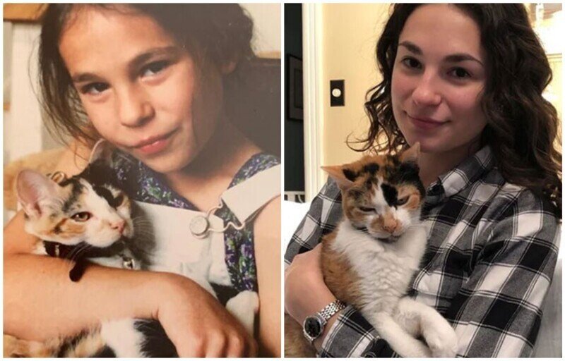 До и после: 35 трогательных фото о том, как быстро растут наши кошки