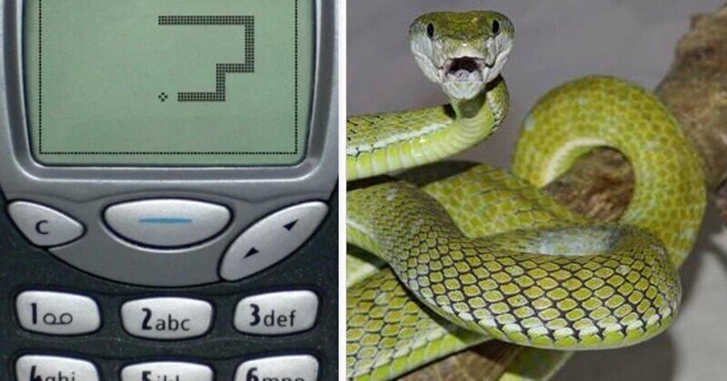 Неожиданный конец "змейки" на старой Nokia