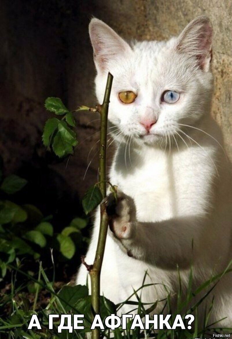 Доброе утро)