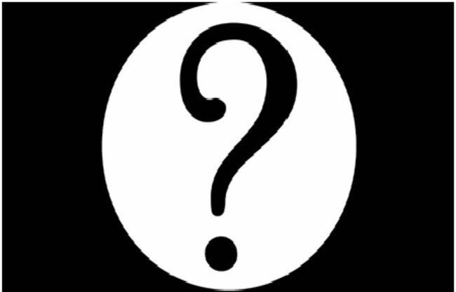 Светлое будущее или кот в мешке???