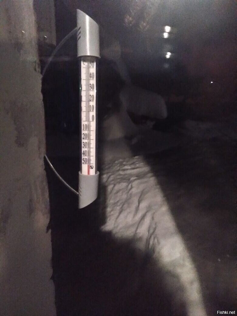 Холодно у нас сегодня