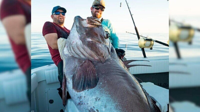 Рыбаки поймали рыбу весом 133 килограмма