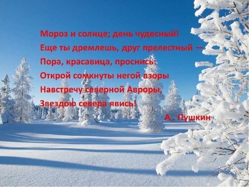 О политике и не только