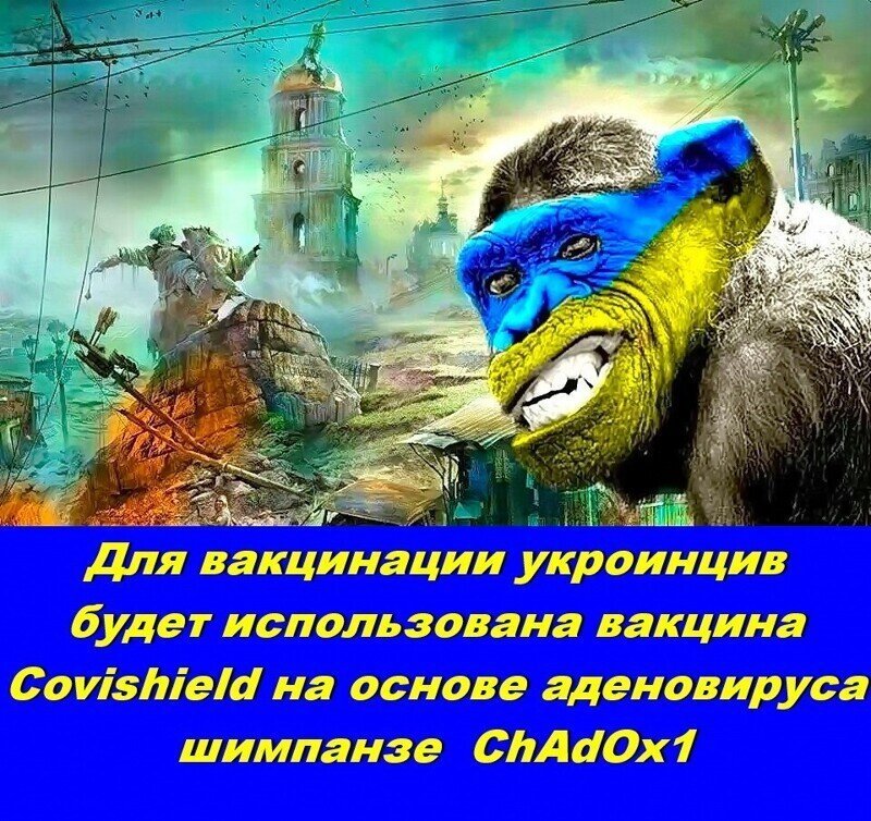 Пазл сложился  -  вакцина для укроинцив зроблена из аденовируса шимпанзе