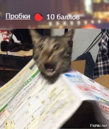 Добро пожаловать в Омск
