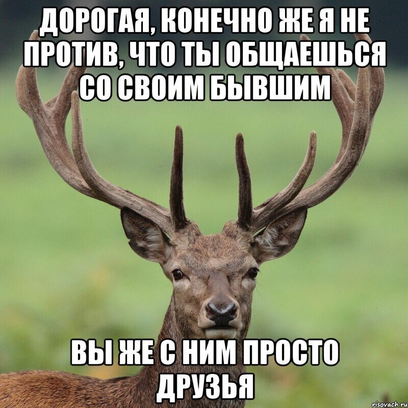 Как не стать "аленем" после развода