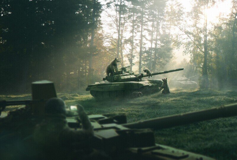 О политике и не только