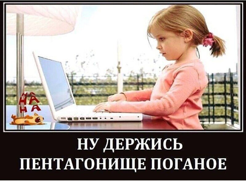 О политике и не только