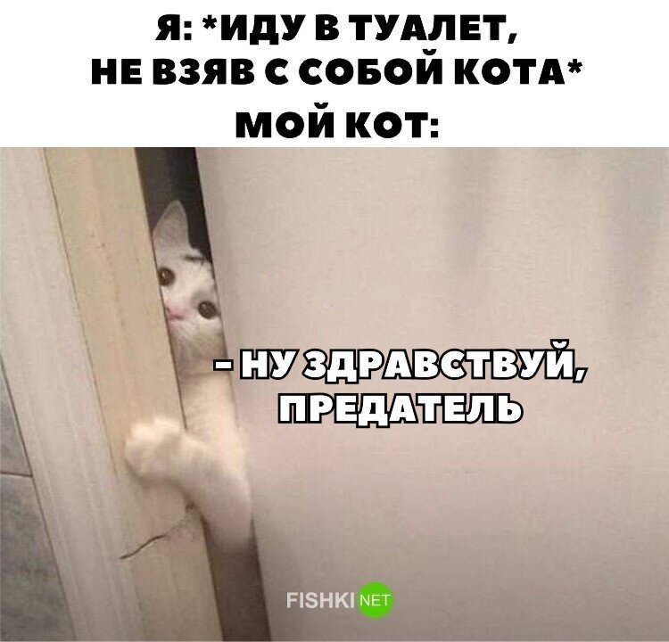 Скрины из соцсетей