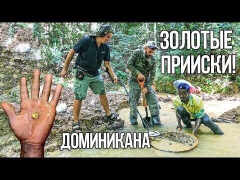 Как добывают золотые самородки в Доминиканских джунглях! Золото здесь буквально лежит под ногами!