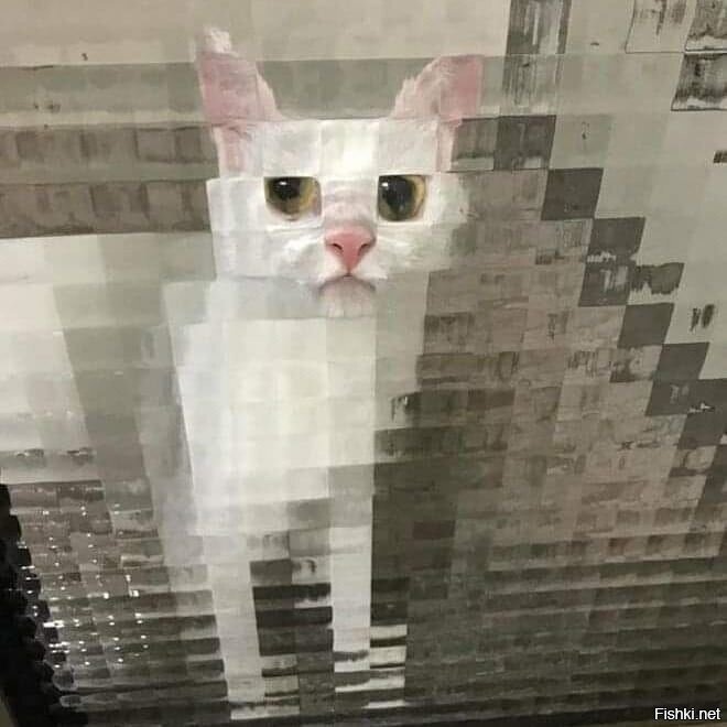 Восьмибитный котейка