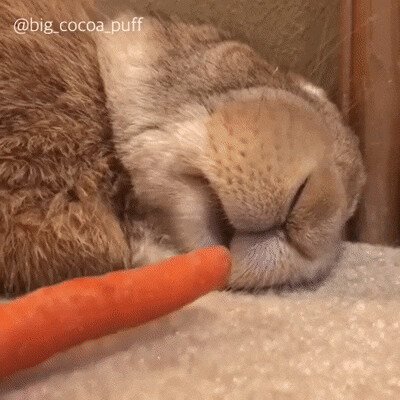 Но сначала ужин