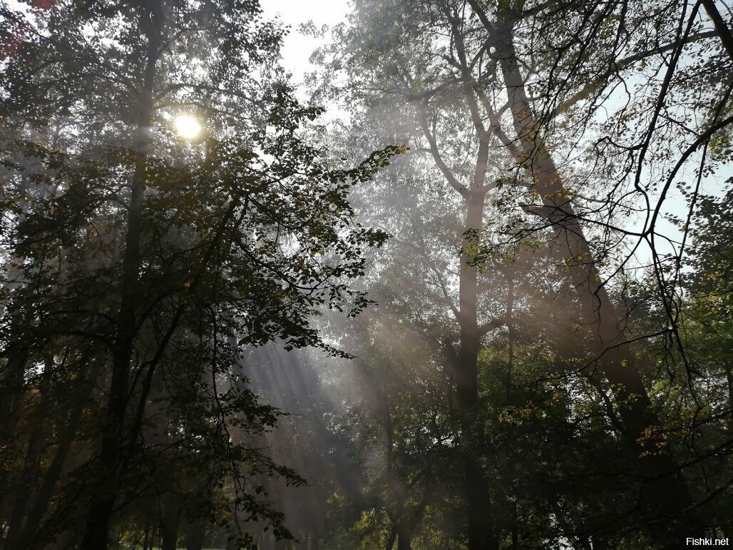 Многие товарищи тут выё