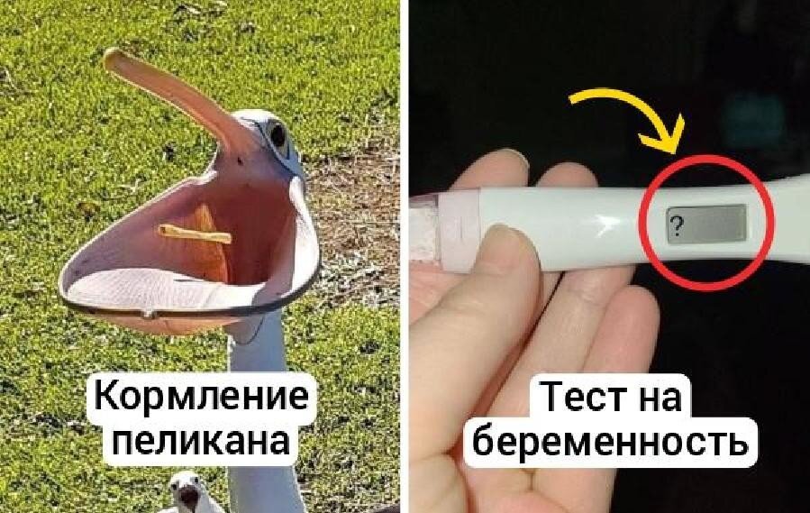 Забавные и увлекательные фотографии, которые сделают день ярче и покажут нечто новое