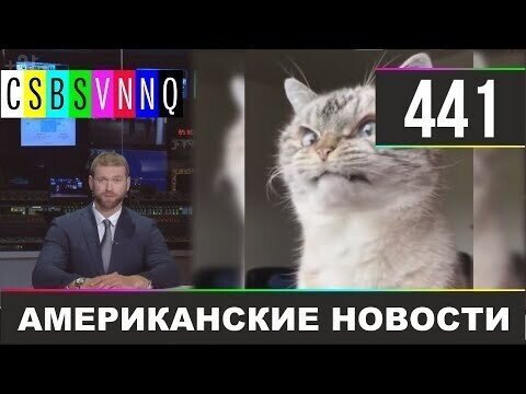 Американские новости 441