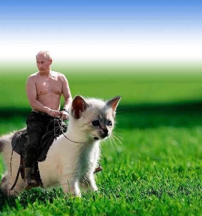 О политике и не только